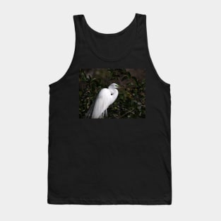 Great Egret with Breeding Colors and Plumes Tank Top